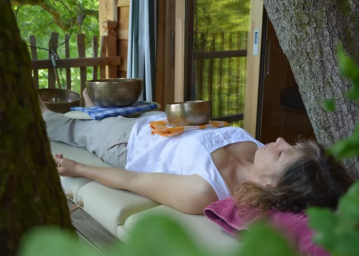 La Du Vieux Chene 3* Susmiou