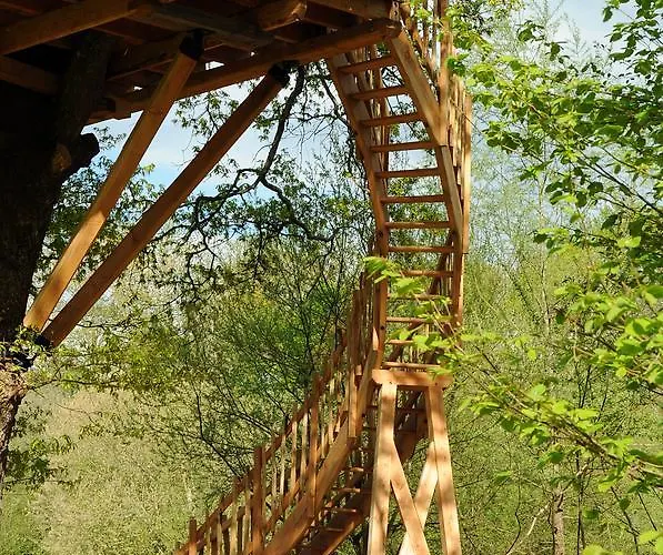 Bed & Breakfast La Du Vieux Chene Susmiou